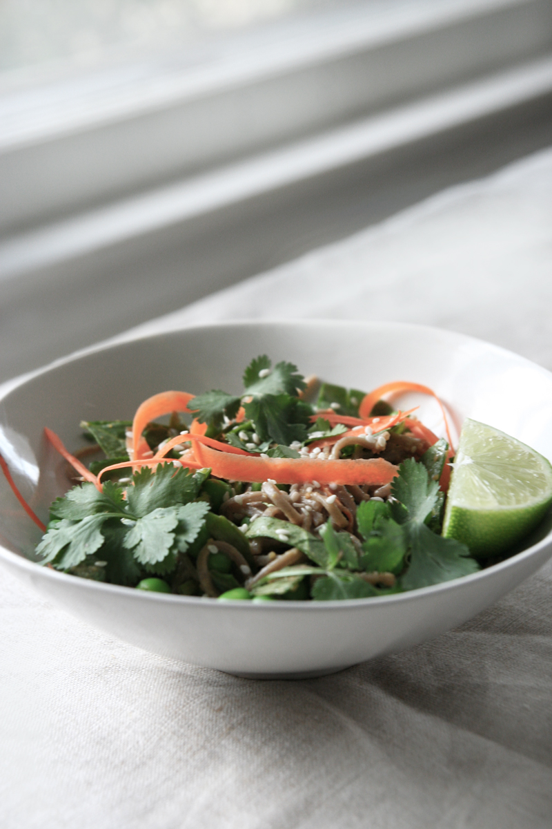 Soba Noodle Bowl with Ginger Peanut Sauce - Willa Wellness
