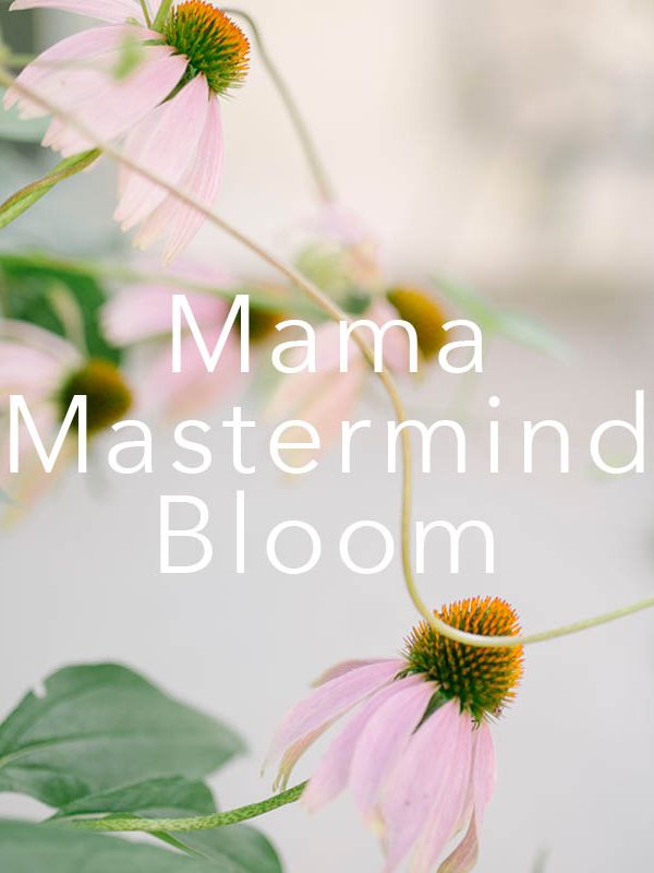 Mama Mastermind Bloom - Mother's Group Issaquah