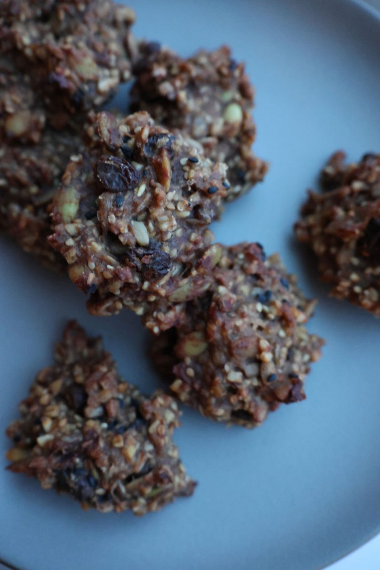 High Protein Lactation Cookie Recipe