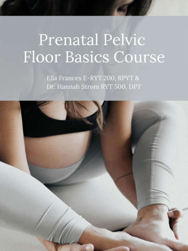 Pelvic Floor Basics Prenatal