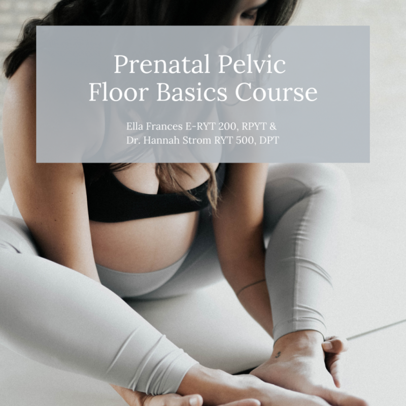 Pelvic Floor Basics Prenatal