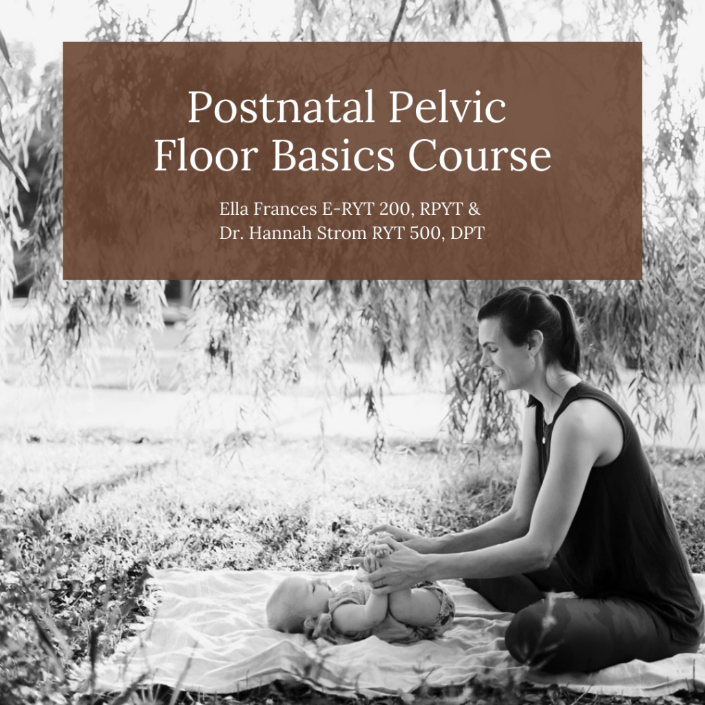 Pelvic Floor Course
