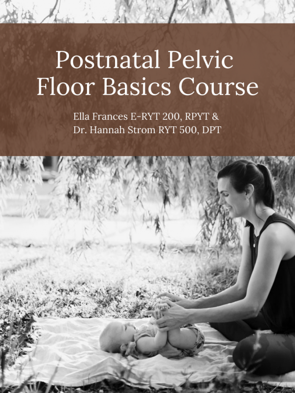 Pelvic Floor Course