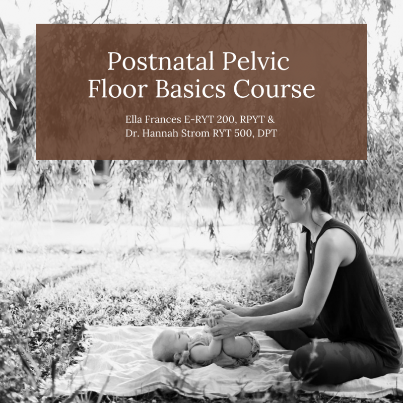 Pelvic Floor Course
