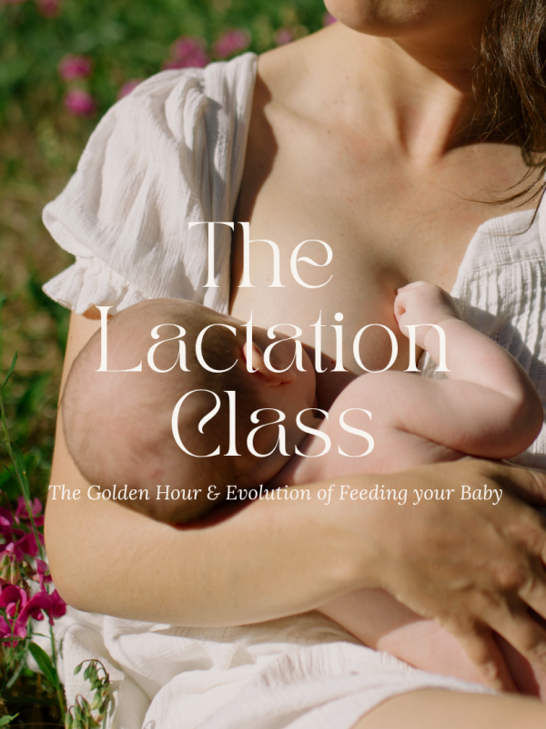 The Lactation Class Issaquah Lactation Education