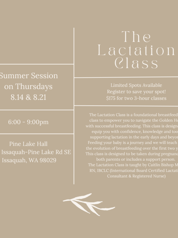 The Lactation Class Issaquah Lactation Education