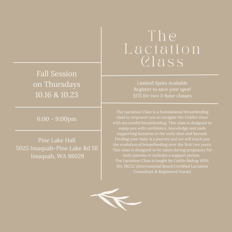 The Lactation Class Fall Issaquah