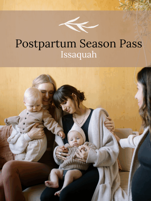 Postpartum Season Pass - Postnatal Fitness Issaquah