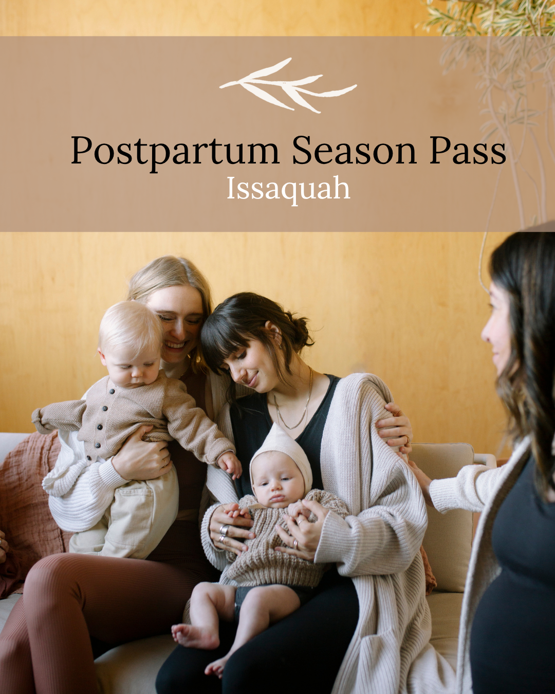 Postpartum Season Pass - Postnatal Fitness Issaquah
