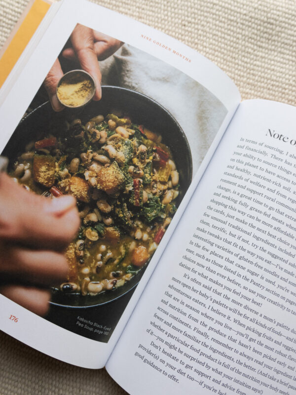 Holistic pregnancy book Nine Golden Months