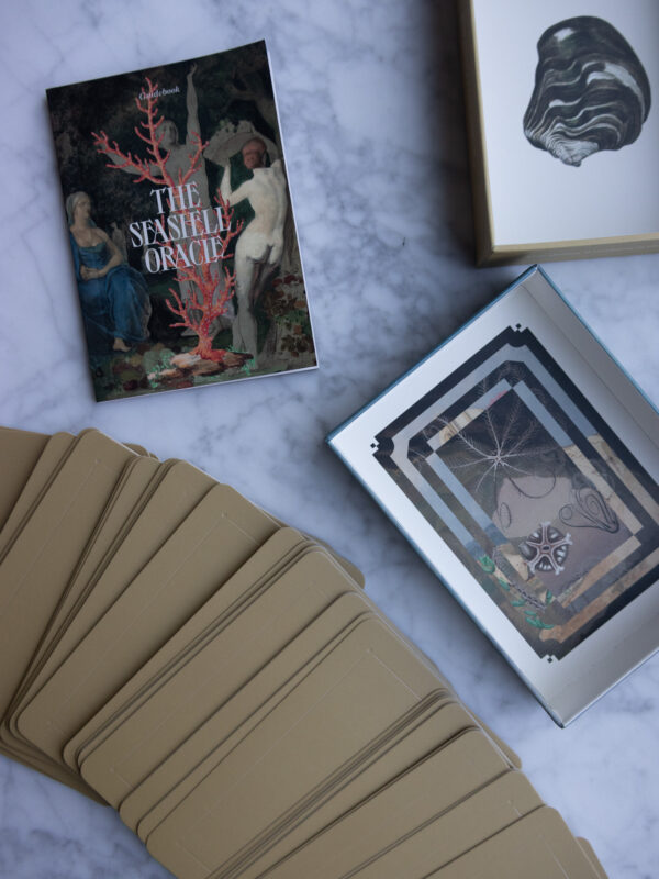 The Seashell Oracle card deck