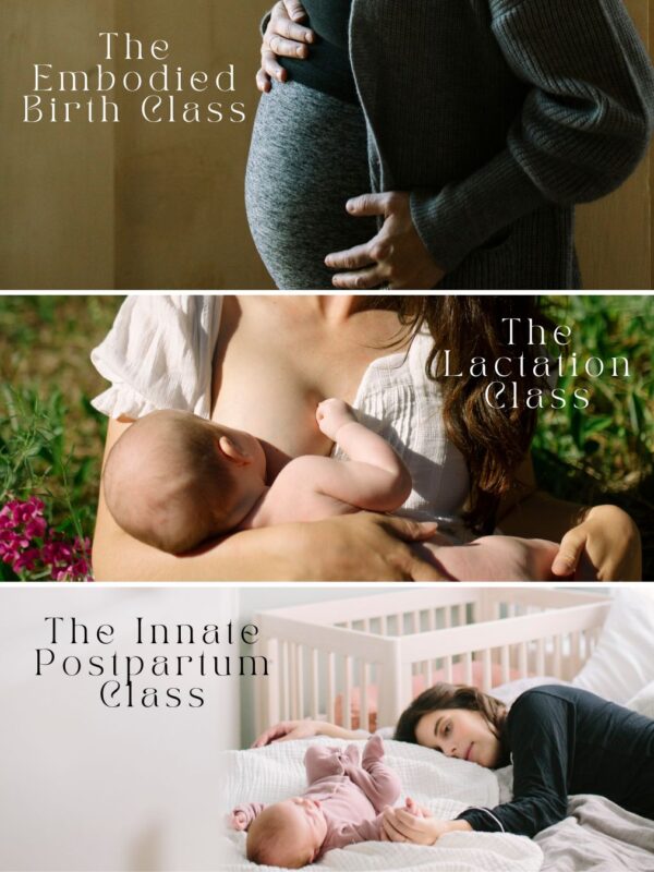 The Embodied Birth Class, The Lactation Class & The Innate Postpartum Class Bundle